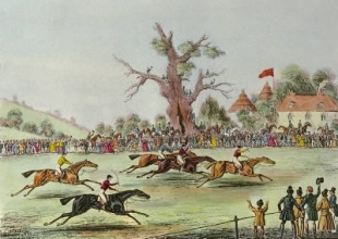 D241D - St Albans Gr Steeplechase PL.4