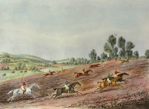 D241C - St Albans Gr Steeplechase PL.3