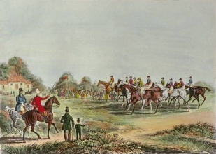 D241A - St Albans Gr Steeplechase PL.1