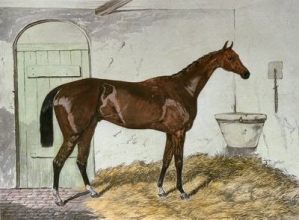C296 - Lord Lyon