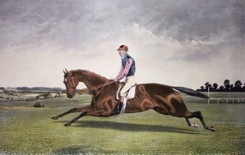 C277 - Kingcraft (with Rider)
