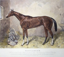 C271 - Kettledrum