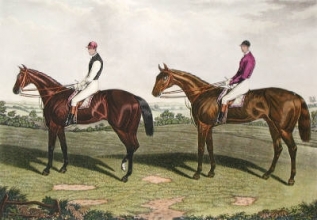 C249 - Kingcraft & Horthornden