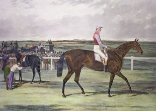 C207 - Knight of St George