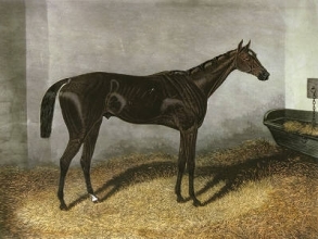 B191 - Kingcraft (medium)