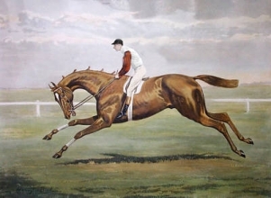 B119 - Sir Hugo