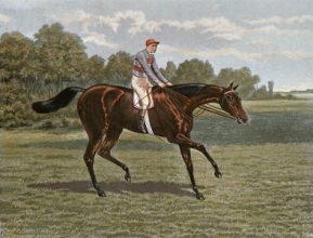 B112 - Signorina
