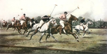 S610C - Gallop on the Boards (m)