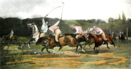 D299 - Polo