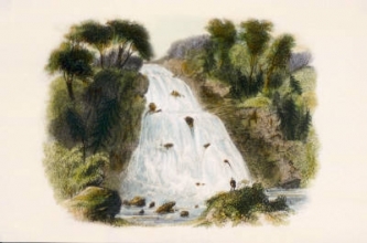 T967O - Turk Waterfall, Killarney