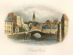 T967F - View of Cork