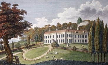 T949D - Harrietsham Place