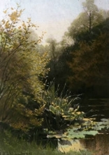 T880 - Rushes and Lily Leaves (Kew Gar