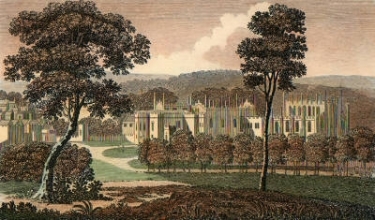 T653 - Aukland Castle