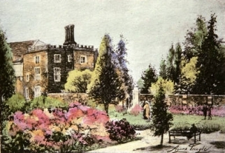 T513 - Azaleas, Hampton Court