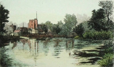 T508 - Twickenham Ferry