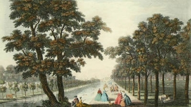 N024 - St James's Park (Canal View)