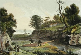 L555C - New Caledonia