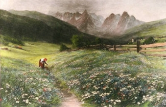 F192 - June in the Austrian Tyrol
