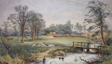 D194 - Springtime at Ashford