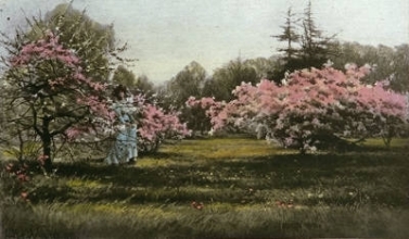 D018H - Kew Gardens - Plate 08
