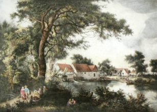 V445 - Wooded Landscape