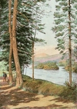 T656 - Wood Gatherer