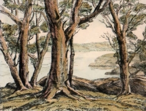 P660 - Lakeside Wood, A
