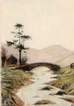 P645 - Brook & Bridge