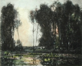 P593 - Silent Pool