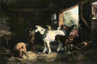 P550 - Inside of Stable, A
