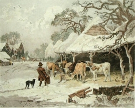 P315D - Winter - Dearman