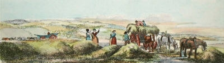 M111A - Haymaking (Plate 1)