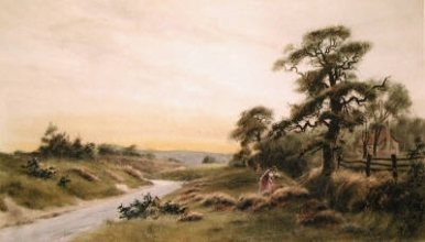 L442D - Heather Vies With Crimson Sky