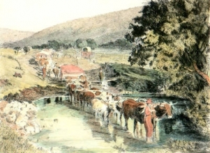 L341D - South African Scenes - Pl. IV