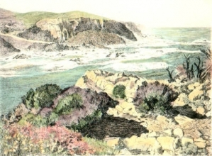 L341C - South African Scenes - Pl. III