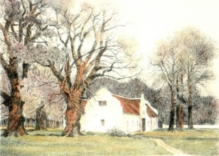 L341B - South African Scenes - Pl. II