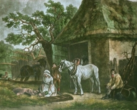 F181 - Feeding the Pigs