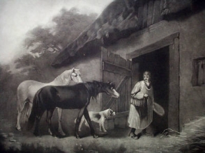 F162 - Horsefeeder, The