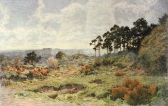 E297 - Wild Surrey